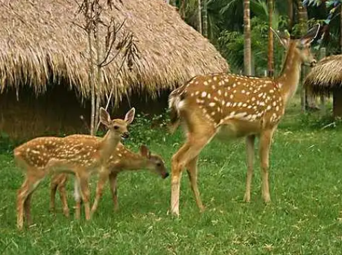 吉林景點(diǎn)大全_吉林旅游景點(diǎn)大全景點(diǎn)排名榜_吉林旅游攻略必玩的景點(diǎn)