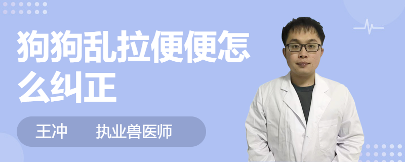 狗狗拉的屎發(fā)綠_狗狗拉綠色的屎但是精神很好_狗拉屎偏綠色