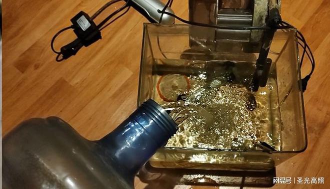 觀賞養(yǎng)魚水用什么消毒_養(yǎng)觀賞魚用啥水_觀賞養(yǎng)魚水用什么水好