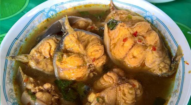 觀賞魚鯰魚招財貓_觀賞招財貓鯰魚魚苗圖片_招財貓鯰魚