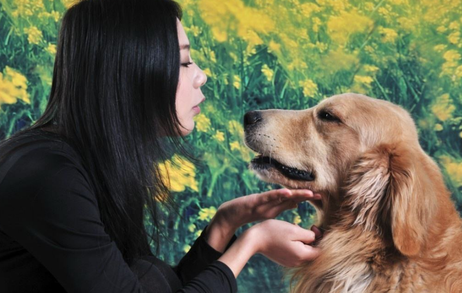 狗狗身體一直在顫抖是為什么_狗抖動身體是什么意思_狗抖身體會抖出什么嗎