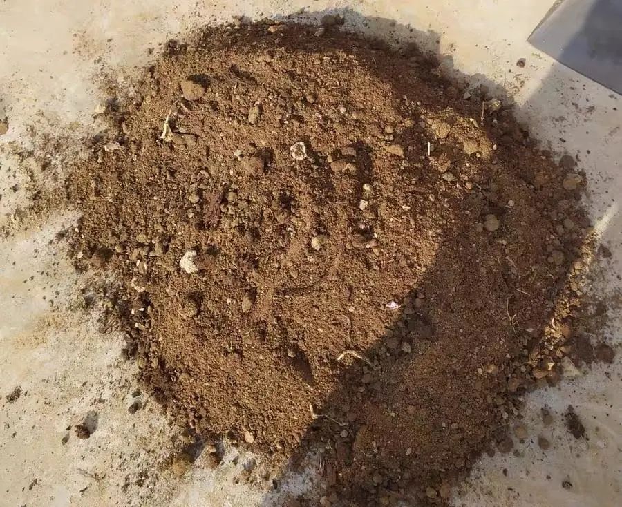 多肉植物泥炭土_多肉泥炭土_純泥炭土種多肉