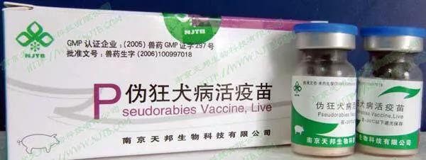 狗咬潛伏期多長時間_被家狗咬后一般潛伏期多長時間_潛伏期的狗咬人會傳染嗎