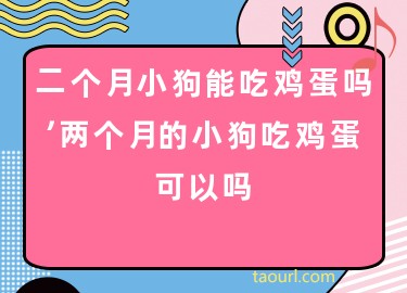 兩個月的小狗一天吃一個雞蛋可以嗎