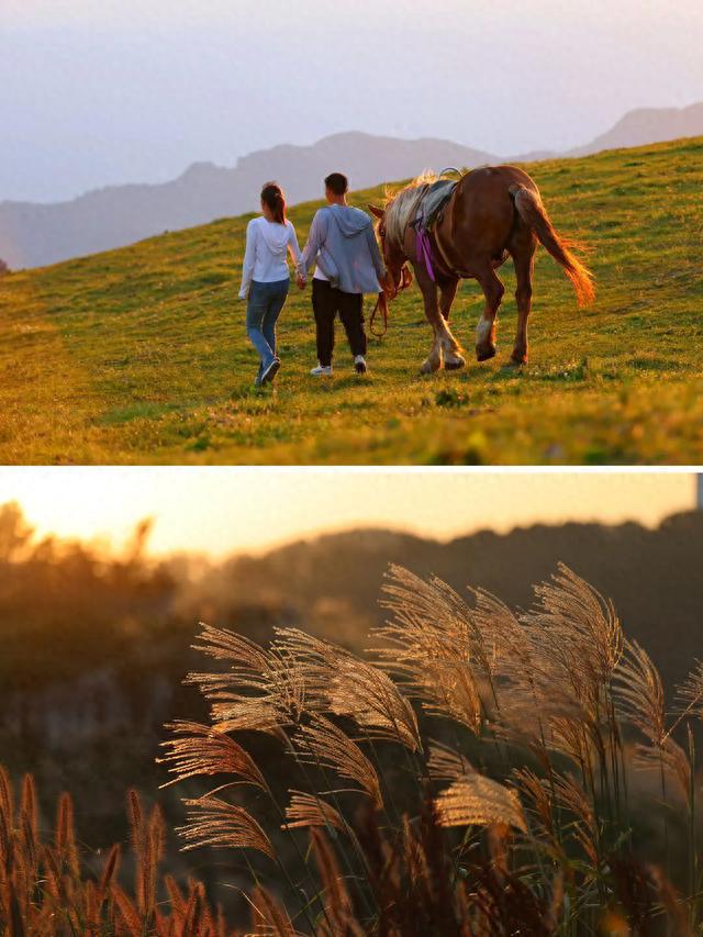 宜昌市內(nèi)旅游攻略_宜昌市旅游攻略_宜昌市十大旅游景點(diǎn)排名
