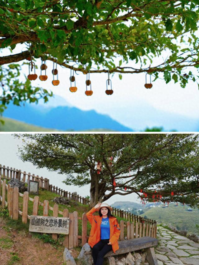 宜昌市十大旅游景點(diǎn)排名_宜昌市旅游攻略_宜昌市內(nèi)旅游攻略