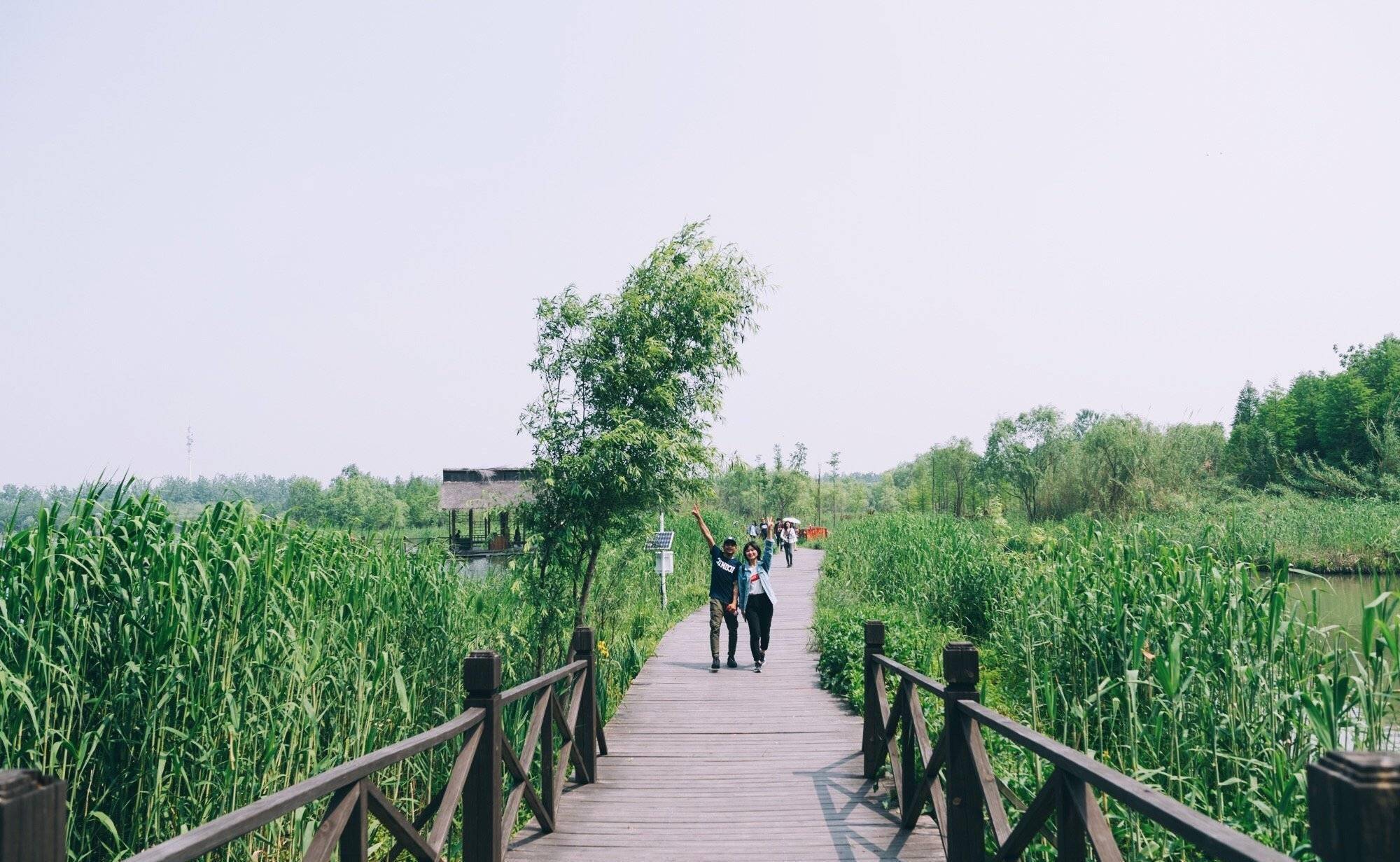 溱湖濕地公園游記_溱湖濕地公園游玩攻略_溱湖濕地公園導游圖