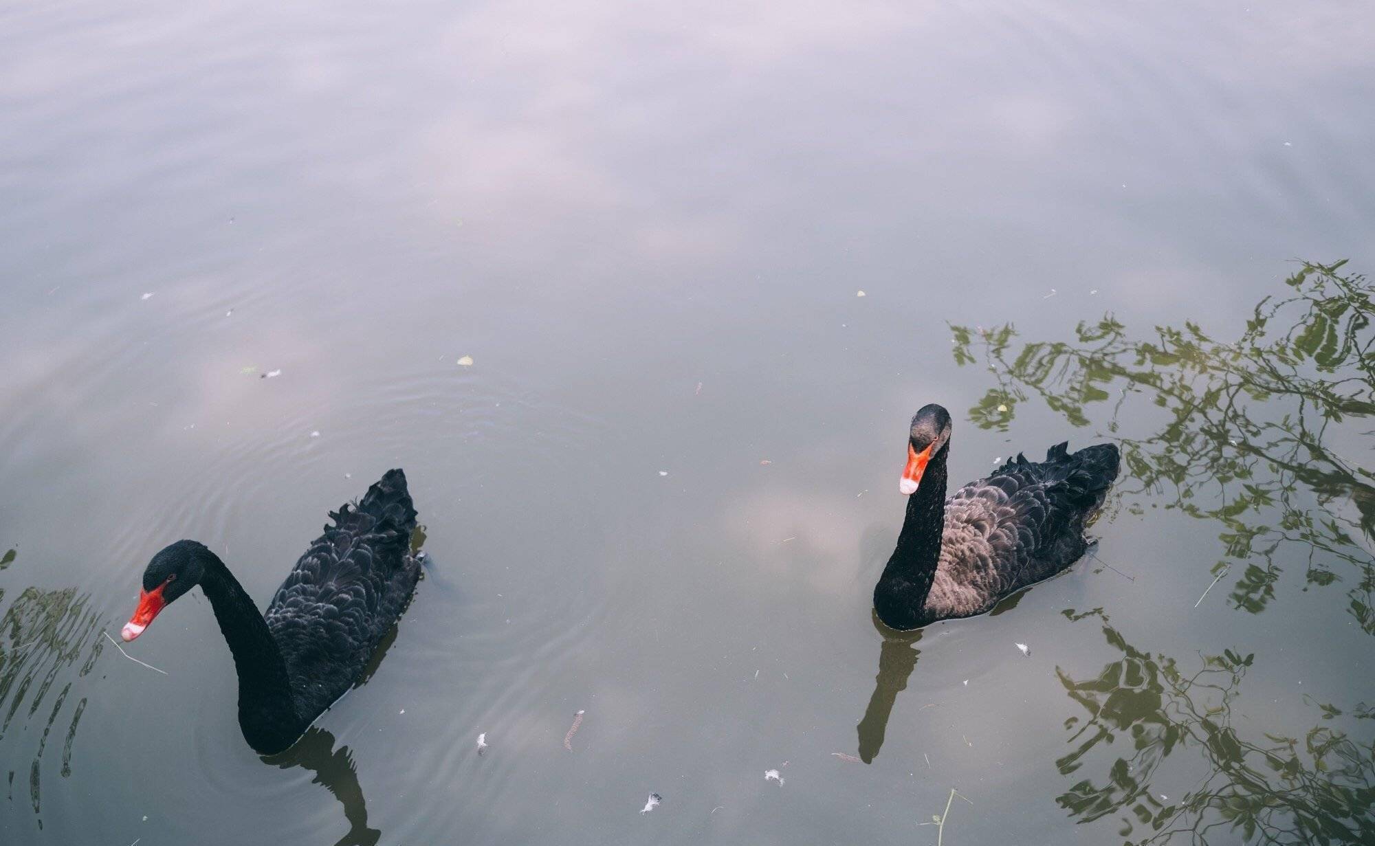 溱湖濕地公園游記_溱湖濕地公園導游圖_溱湖濕地公園游玩攻略