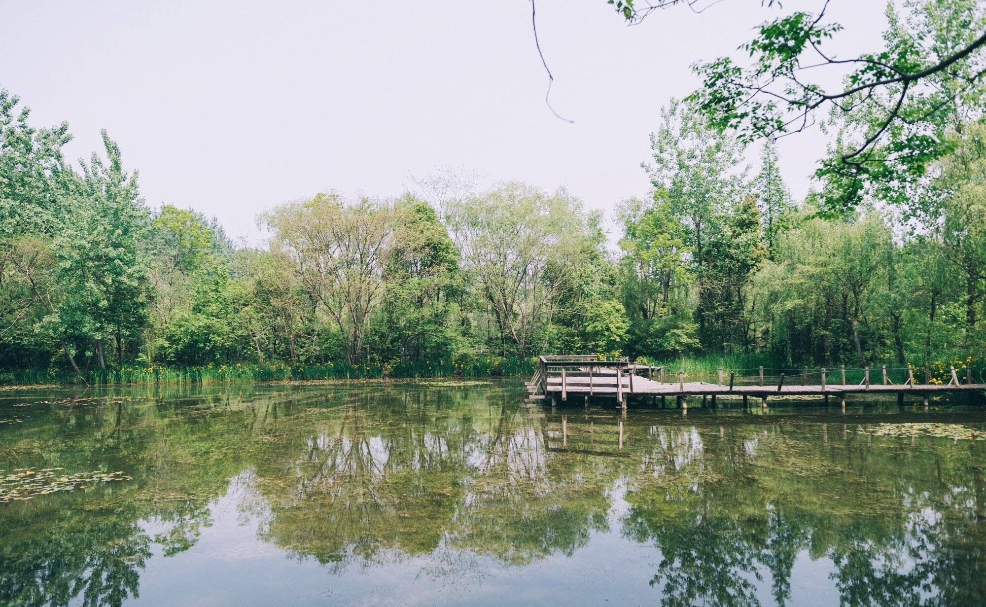 溱湖濕地公園游玩攻略_溱湖濕地公園游記_溱湖濕地公園導游圖