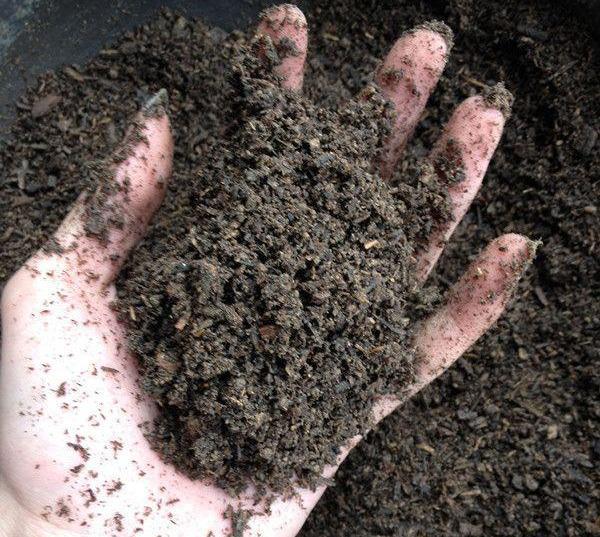 多肉專用盆_多肉盆具_多肉專用花盆