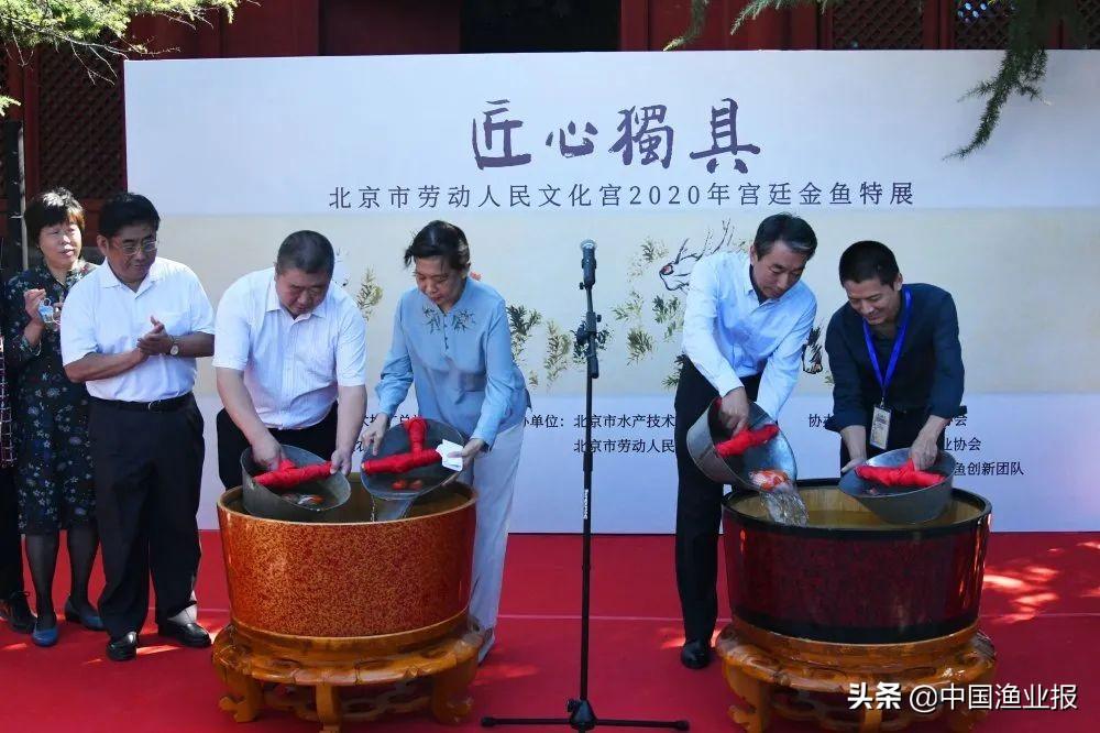 觀賞魚醫院_觀賞魚場_觀賞魚診所