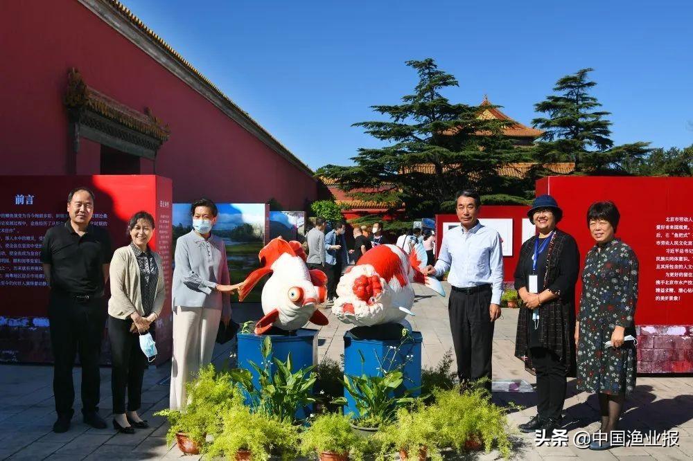 觀賞魚診所_觀賞魚場_觀賞魚醫院