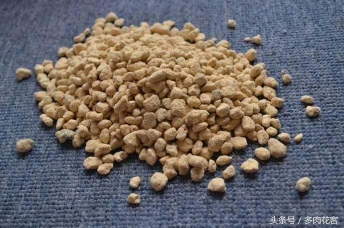 玩轉多肉植物系列，種肉石頭篇，赤玉土是什么土，有什么用呢？