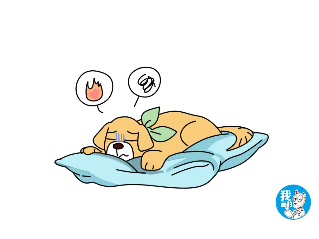 怎么判斷狗狗發(fā)燒_狗狗發(fā)燒判斷是否感冒_狗狗發(fā)燒判斷病情