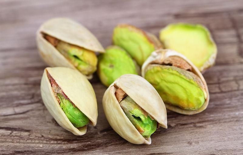 小狗吃核桃仁_狗可以吃核桃仁嗎_核桃仁可以給狗吃嗎