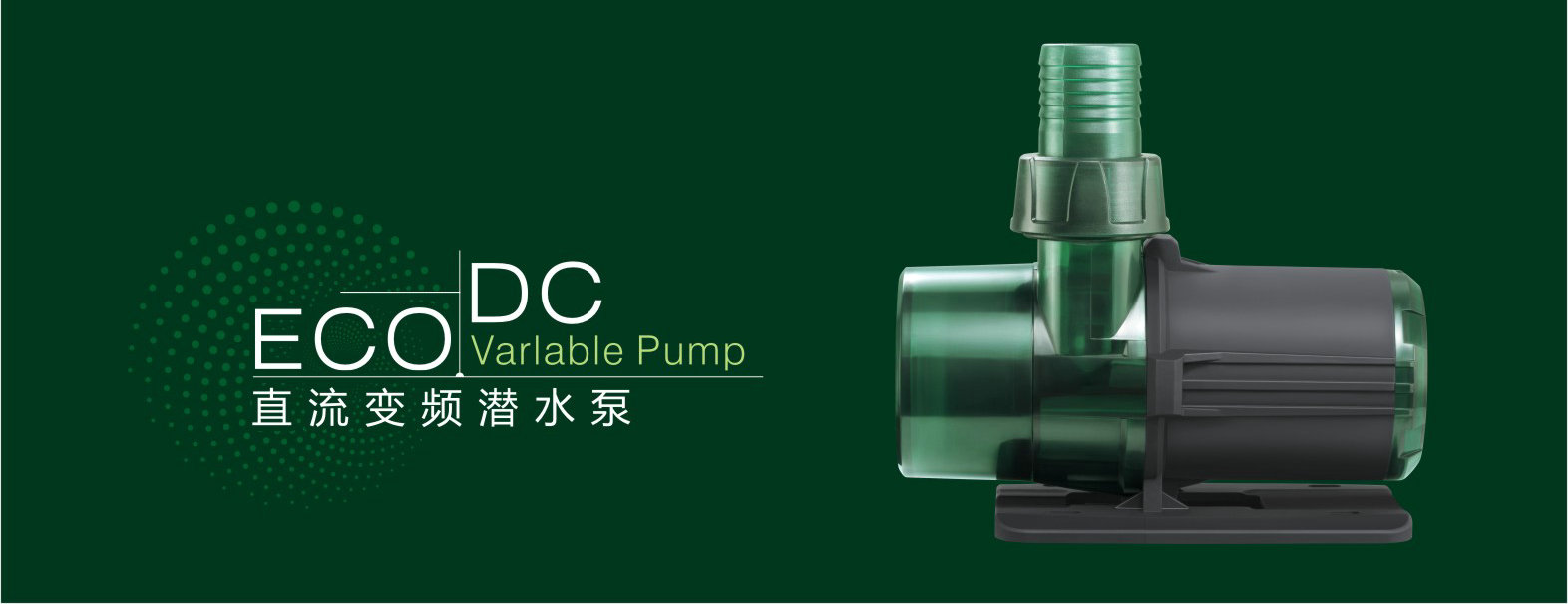 魚缸養殖的觀賞魚_魚缸養殖觀賞魚應該注意哪些_觀賞魚缸養魚注意事項