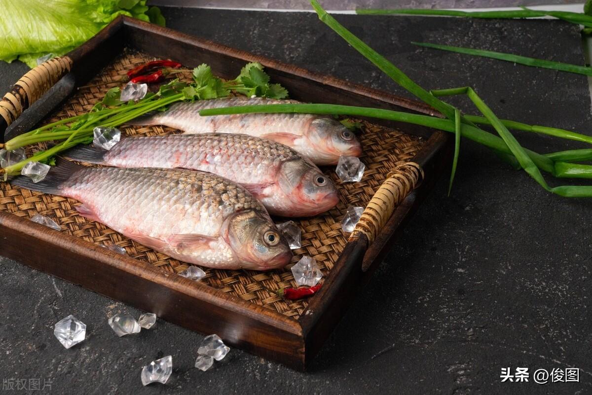 一條4斤的觀賞魚，賣了400多萬，解讀高價背后的原因