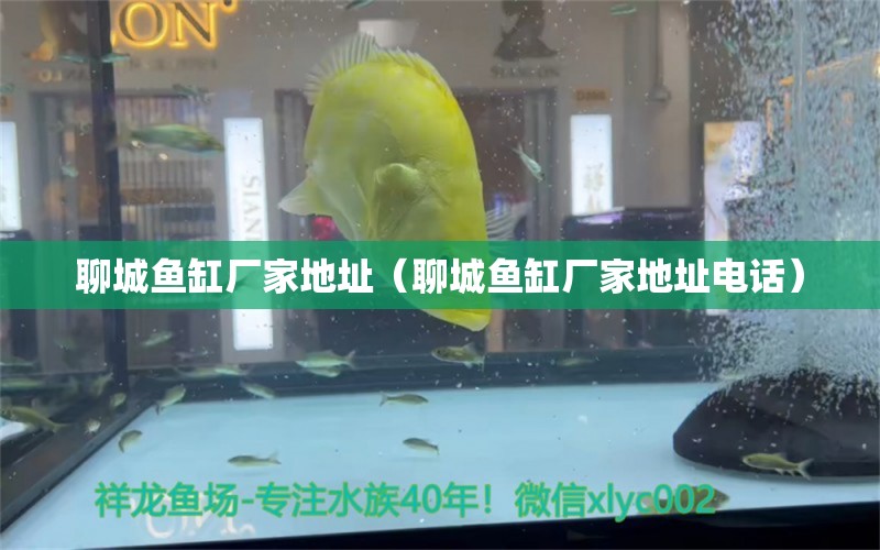 聊城魚(yú)缸廠家地址（聊城魚(yú)缸廠家地址電話）
