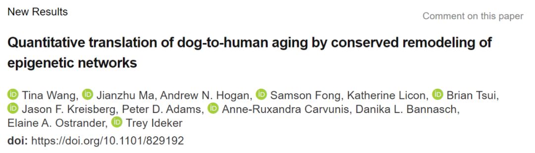 狗狗八歲相當于人幾歲_狗狗人工授精的正確方法和步驟_狗狗人生模擬器