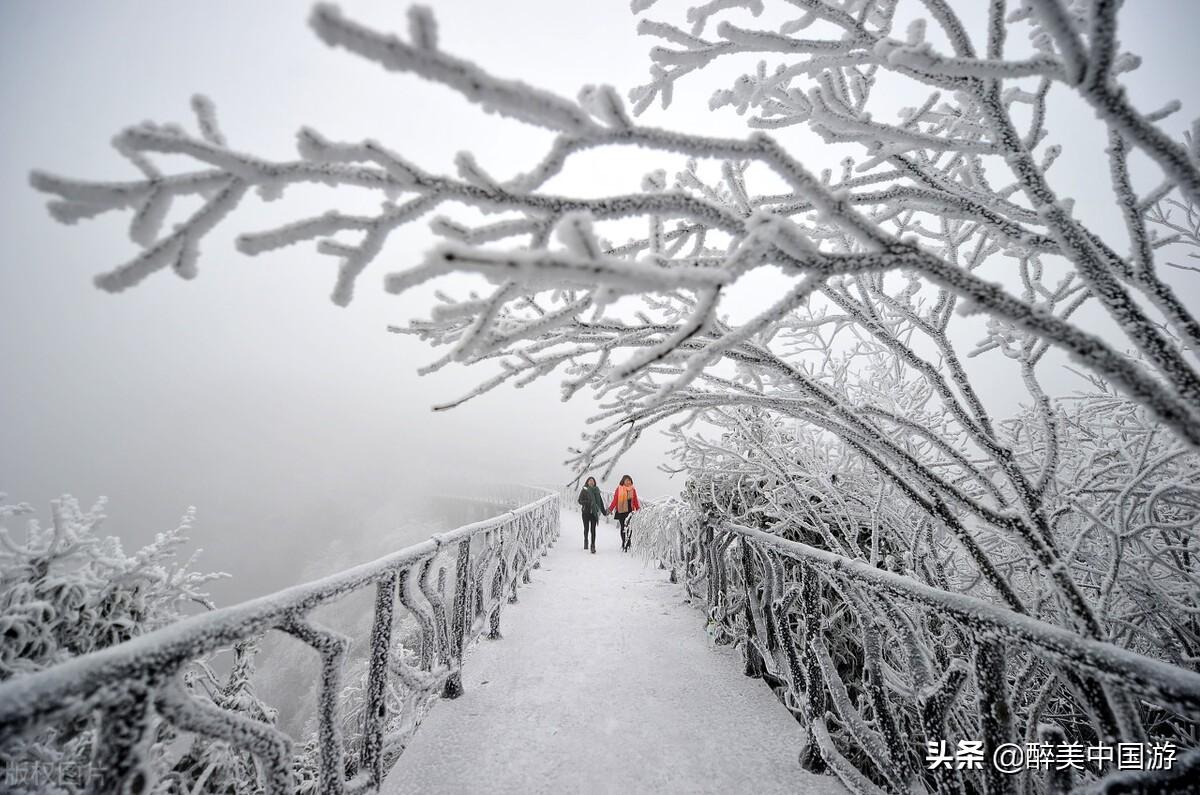 走進張家界，最實用的天門山攻略詳解，自由行必備