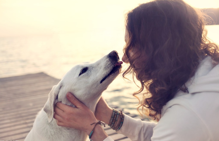 人們說(shuō)的舔狗是什么意思_舔狗的意思是什么意_狗狗舔人是什么意思啊