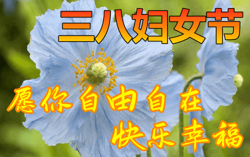 同事離別祝福_三八婦女節祝福同事_婦女節祝福語簡短優美給同