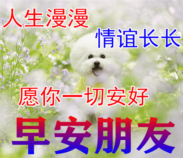 婦女節祝福語簡短優美給同_同事離別祝福_三八婦女節祝福同事