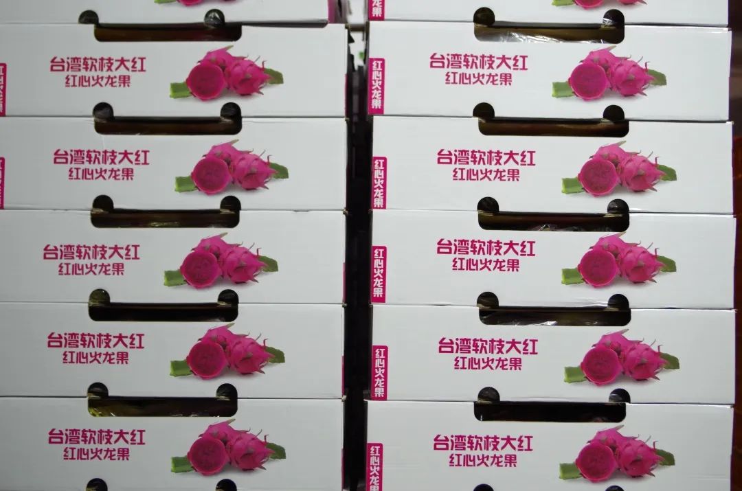 觀賞魚批發市場進貨_批發觀賞魚可以買嗎_哪里可以批發觀賞魚