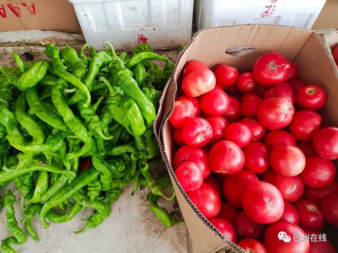 哪里可以批發觀賞魚_觀賞魚批發市場進貨_批發觀賞魚可以買嗎