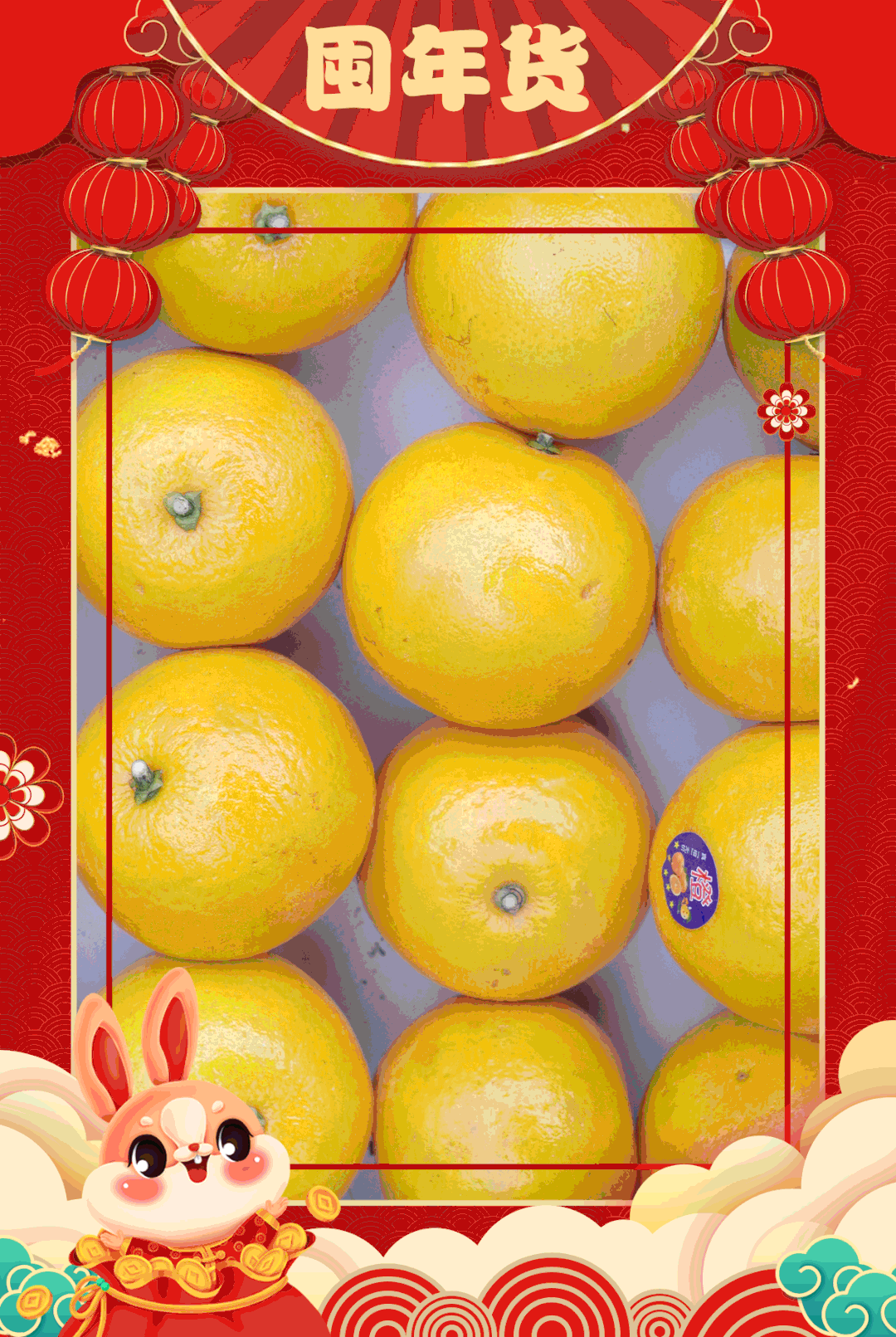 批發觀賞魚可以買嗎_觀賞魚批發市場進貨_哪里可以批發觀賞魚