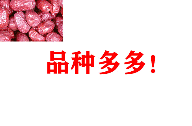 觀賞魚批發市場進貨_批發觀賞魚可以買嗎_哪里可以批發觀賞魚