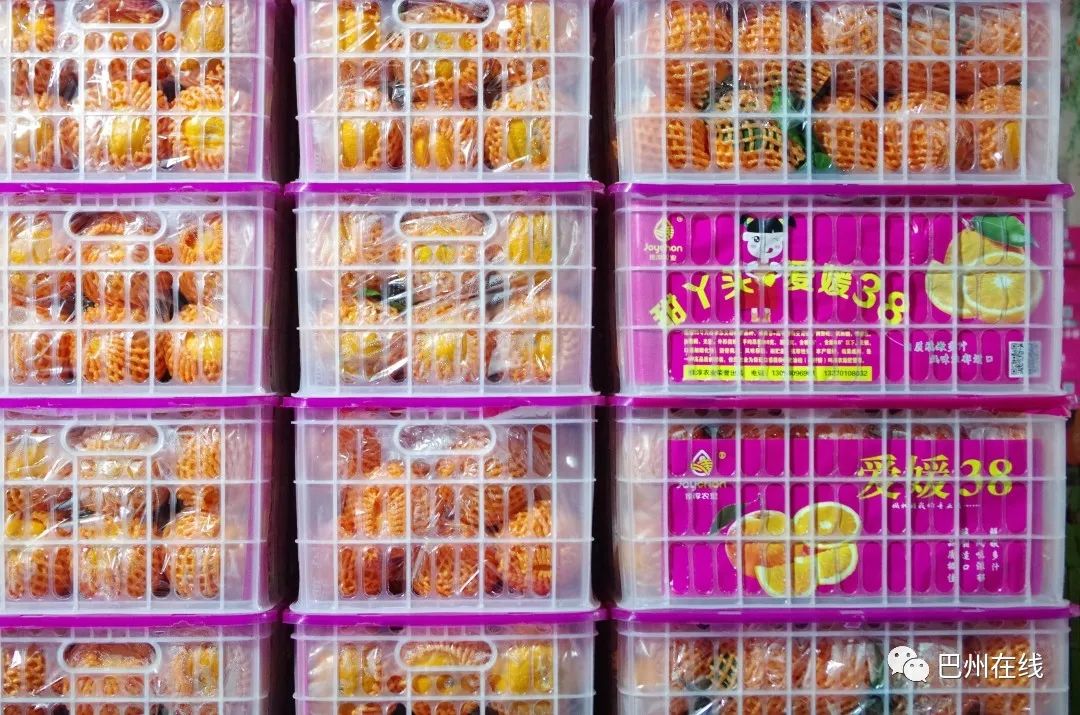 哪里可以批發觀賞魚_批發觀賞魚可以買嗎_觀賞魚批發市場進貨