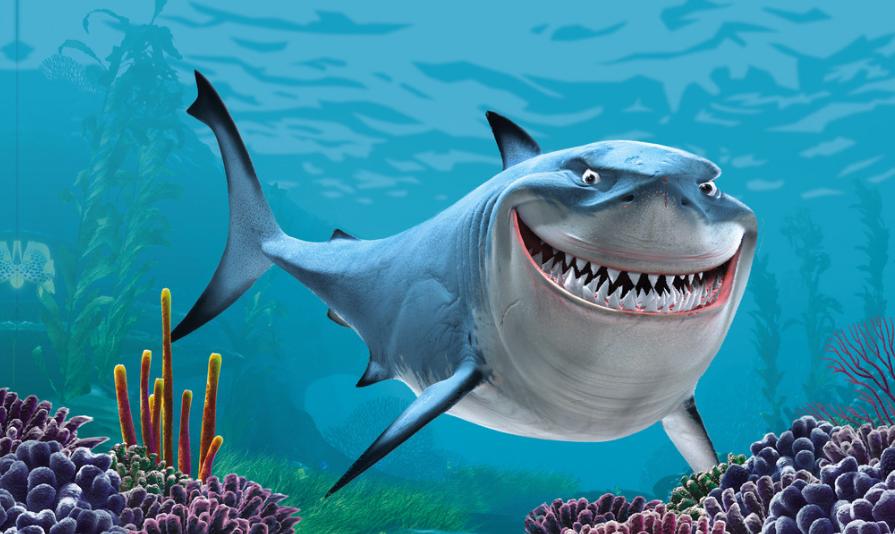 觀賞魚什么魚最兇猛_兇猛觀賞魚十大兇猛觀賞魚_兇狠觀賞魚